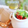 Cafe2All Preview