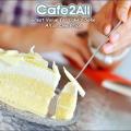 Cafe2All Preview